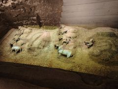-秦始皇帝陵博物院(兵马俑)
