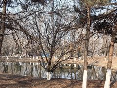 -长白岛森林公园