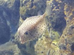 -福州罗源湾海洋世界旅游区