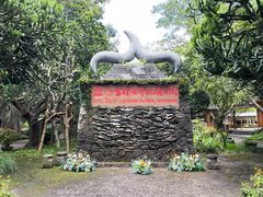 -海口火山口国家地质公园
