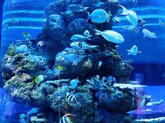 -成都浩海立方海洋公园