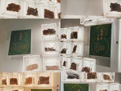 -广东中医药博物馆