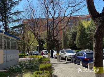 泰迪走失，求转发，科学园南里三区附近