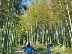 -黄公望隐居地