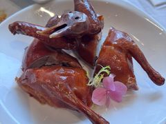 -新雅粤菜馆(南京东路店)