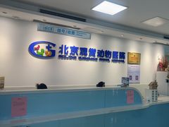 -北京观赏动物医院·24小时大型综合·猫专科·异宠专科