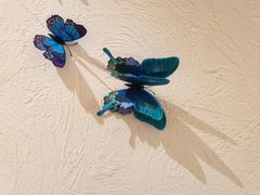 -金孔雀德宏傣味餐馆(魏公村店)