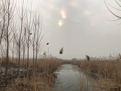 -白洋淀景区