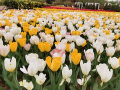 -石家庄市植物园