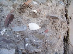 老房的土墙里掺着贝壳瓷片等调成的建筑材料&nbsp;(1)-乌山风景区
