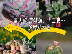 -瑞虹新天地月亮湾