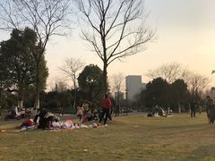 -杭州城北体育公园