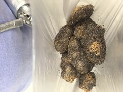 -叶氏麻糍(鼓浪屿店)