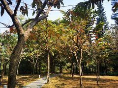 -荔香公园