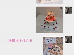 -咖咖熊蛋糕定制·蓝风车动物奶油