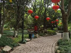 -瀛洲公园