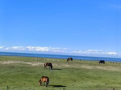 -青海湖国家重点风景名胜区
