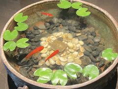 -曲水兰亭(北京四惠店)