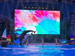 -海合安武汉极地海洋公园