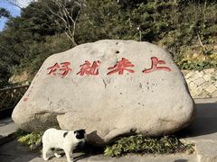 -普陀山风景区-佛顶山