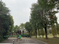 -襄阳城墙