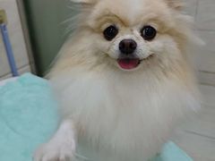 -庐州太太(鼓楼店)