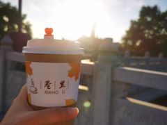 -乌镇东栅景区