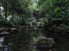 -成都市活水公园