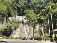 -西双版纳原始森林公园