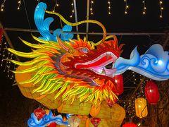 -陆氏梅花糕(老门东店)