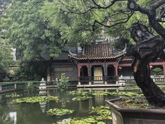 -碧江金楼