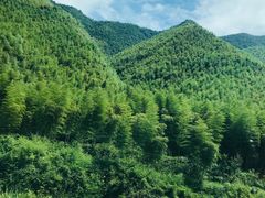 -莫干山风景区