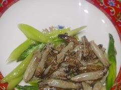 -新光酒家·河豚·海鲜·蟹料理(浦东店)