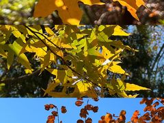 -北京西山国家森林公园