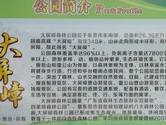 -大屏嶂森林公园