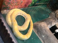 -上海大自然野生昆虫馆