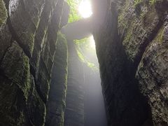 -梦幻奥陶纪景区