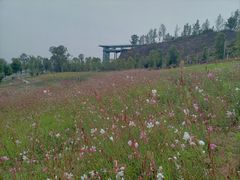 -三岔湖景区