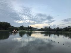 -上海佘山世茂艾美酒店