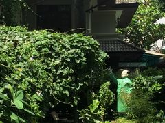 -莓园冰淇淋店