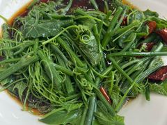 -上庄晋风庄园(上庄店)