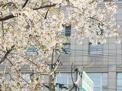 -静安雕塑公园