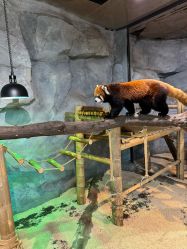 -Zoolung Zoolung动物主题公园(海信广场店)