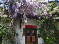 -浙江大学(玉泉校区)