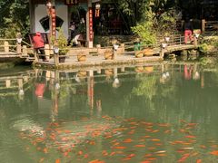 -黔灵山公园