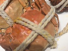 -杨氏青龙虾·羊蝎子(金盛路总店)