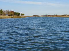 -春花秋色城市公园