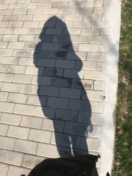 -镁连社·美联社