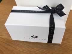 -BLACKSWAN黑天鹅(环球店)