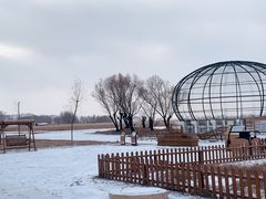 -黑龙江扎龙生态旅游区